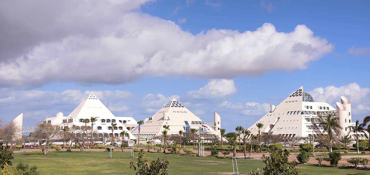 Sustaining Innovation: How the Technology Support Office Bridges Research and Industry