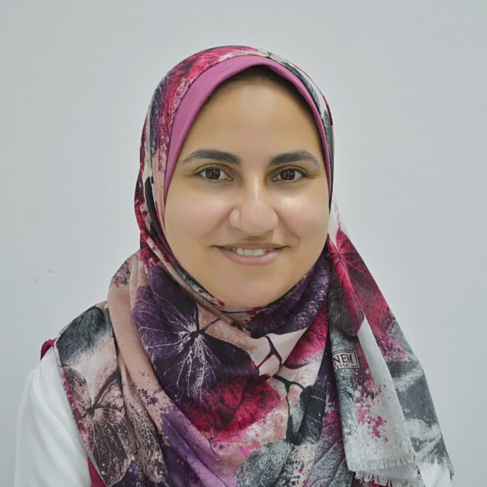 Dina Mohamed Ehab Mohamed Mohamed Atta