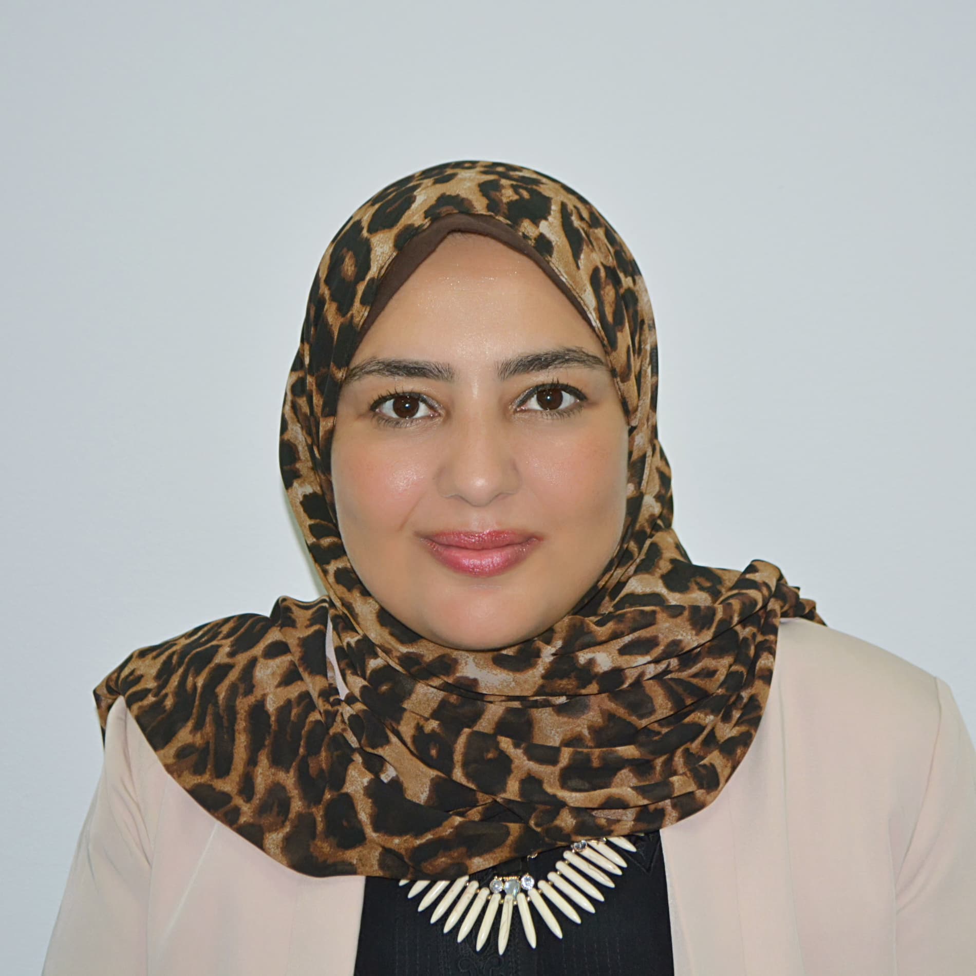 Dina Abdelhafiz Hussein Abdelhafiz